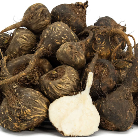Svart Maca-rott